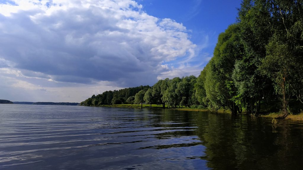 Водоём в Можайском округе